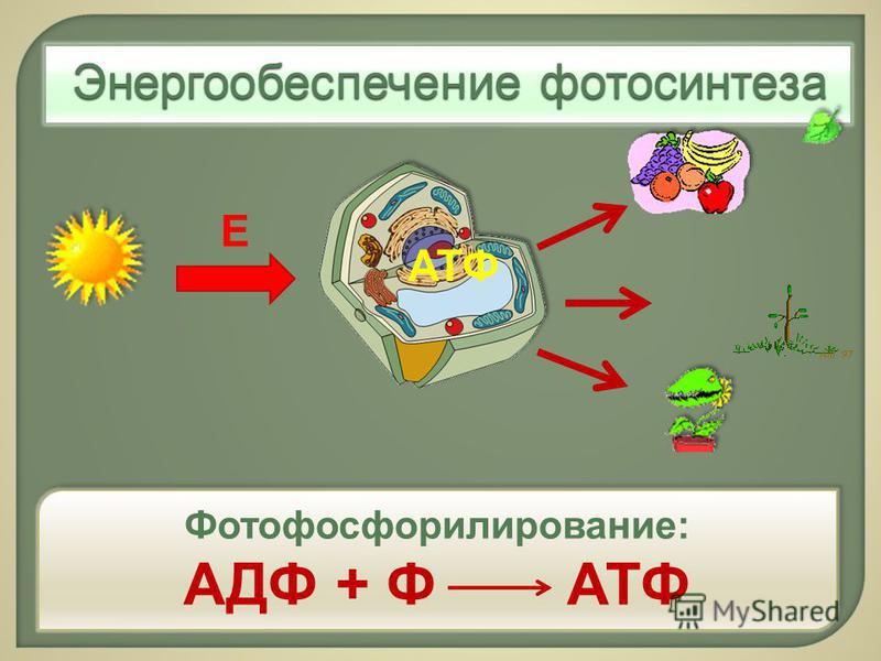 Космоэнергетика схема сеанса